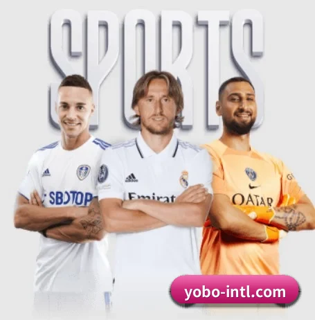 yobo体育平台 APP